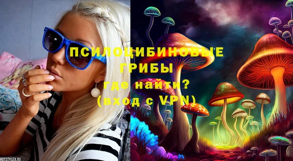 таблы Богданович