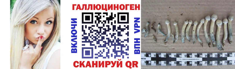 mega сайт  Кораблино  Галлюциногенные грибы прущие грибы  что такое наркотик 
